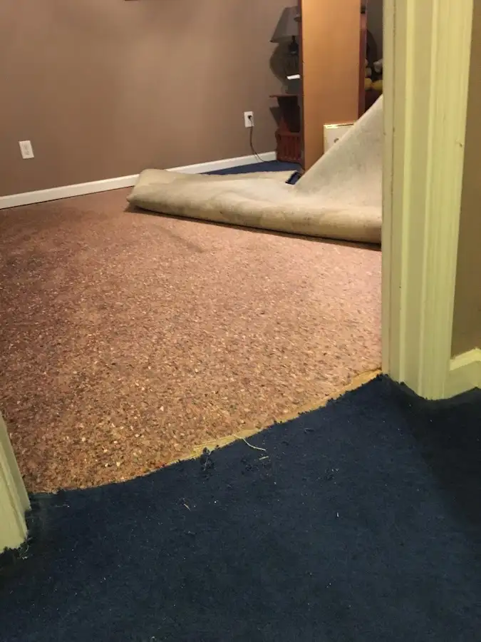 Carpet pad removal revealing water damage during Drying & Dehumidification in Fridley