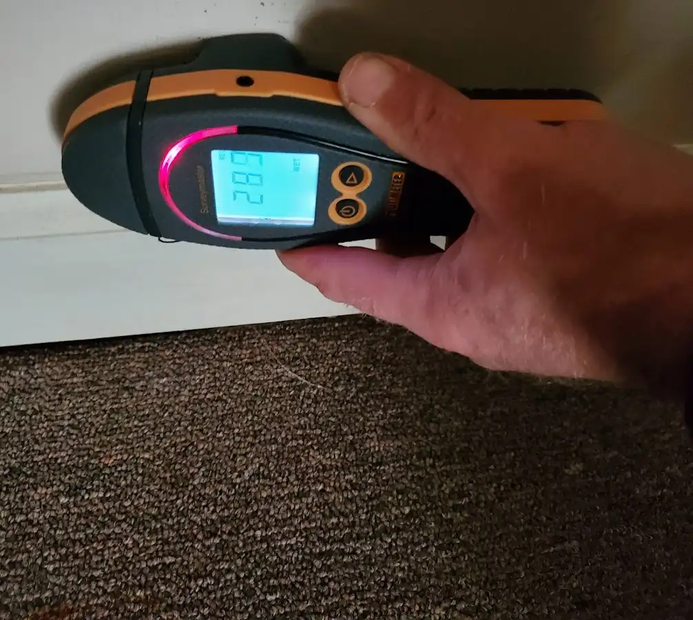 Moisture detection at baseboard during Burst Pipe Cleanup in Fridley